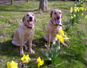 Molly and Lottie